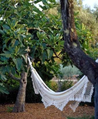 Quinta Da Lua Bed & Breakfast Tavira Dış mekan fotoğraf