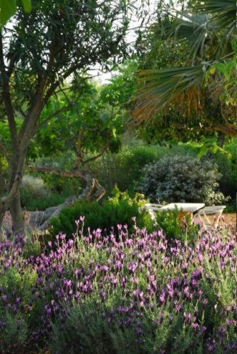 Quinta Da Lua Bed & Breakfast Tavira Dış mekan fotoğraf