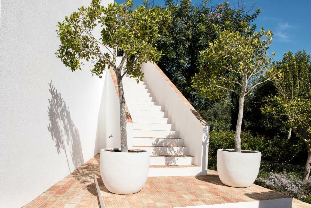Quinta Da Lua Bed & Breakfast Tavira Dış mekan fotoğraf